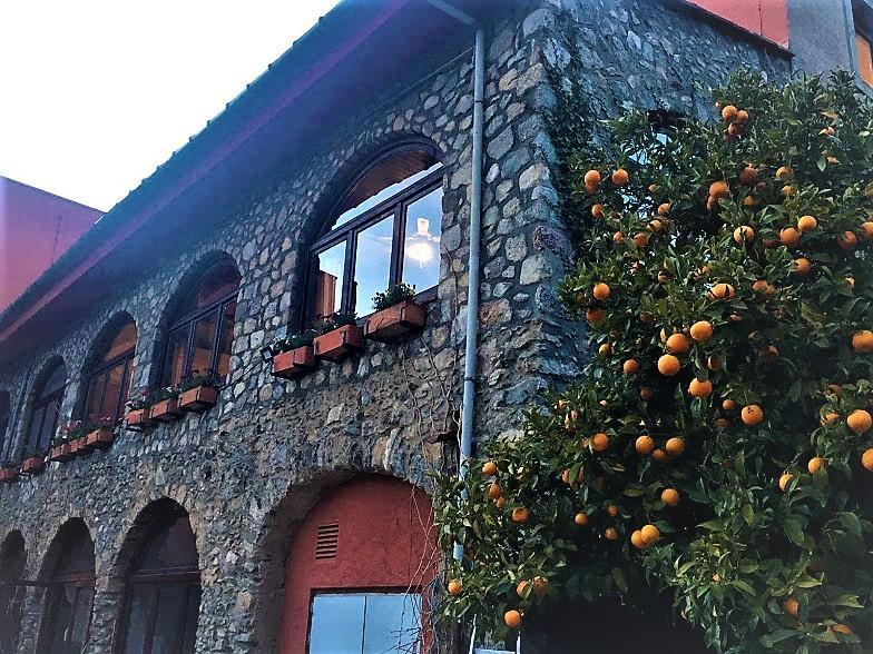 Hotel La Fonda Dels Pirineus マサネット・デ・カブリニス エクステリア 写真